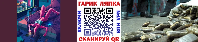 ГАШ Premium  Купить где  Лукоянов 