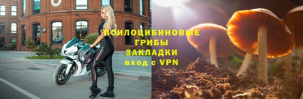 COCAINE Горно-Алтайск