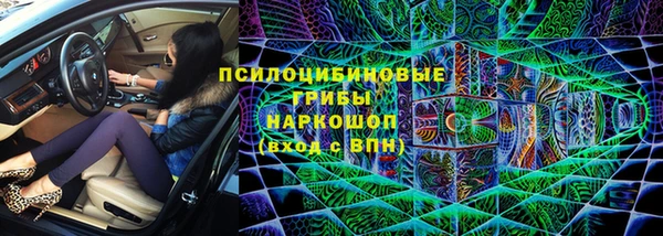 СК Вязьма